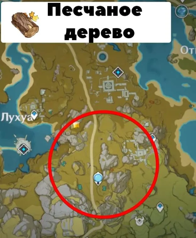 Место, где можно найти Песчаное дерево на карте в Genshin Impact (Геншин Импакт)