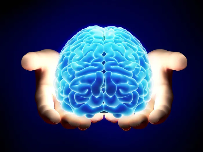 Человеческий мозг в руке