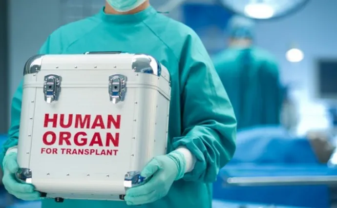 Человеческие органы в специальных контейнерах в руках медицинского работника