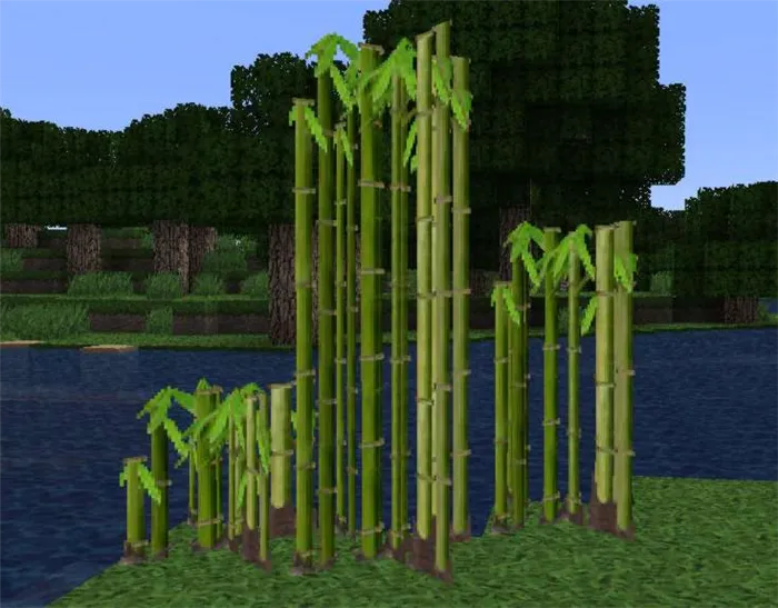 Сахарные столбики в Minecraft: где собрать, построить и приобрести собственную ферму тростника