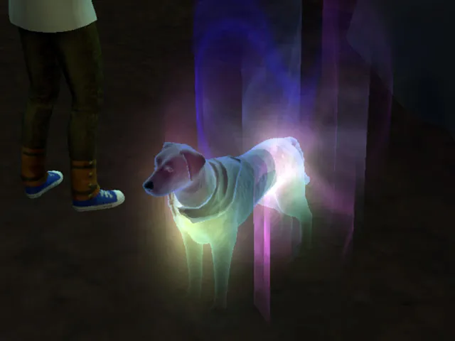The Sims 4: Питомец остается живым, когда персонаж встречает его в следующий раз.