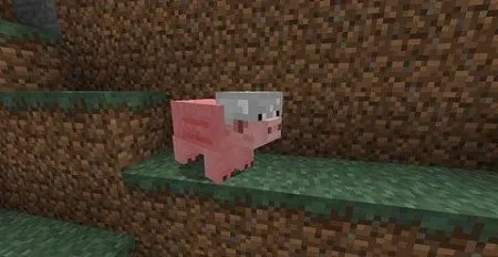 1484420049 Приручение Свини в Minecraft