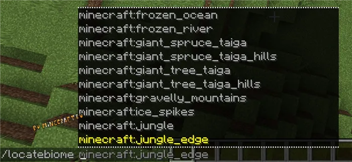 Лесной склон, также известный как тайга, является одним из многих мест обитания в Minecraft.