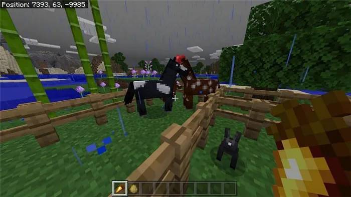  Как разводить лошадей в Minecraft4